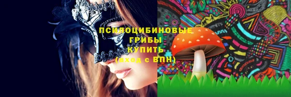 трава Нефтекумск