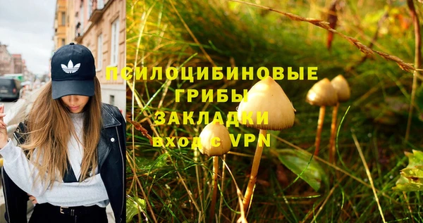 дживик Нея