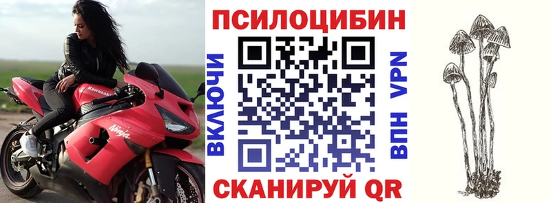 Псилоцибиновые грибы ЛСД  Купить где  Изобильный 